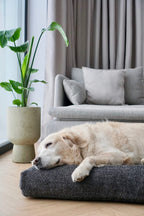 Buklaa Cushion - Anthracite 