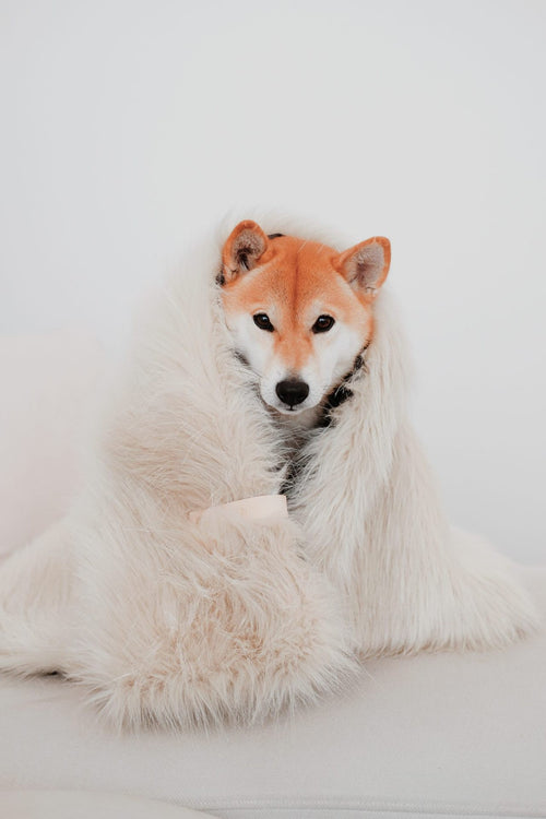 Föra Blanket - White 