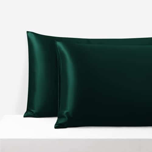 Mulberry Silk Pillowcase with Zipper, 22 Momme, 50×60
