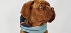 Simo Neck Warmer - Turquoise & Iron 